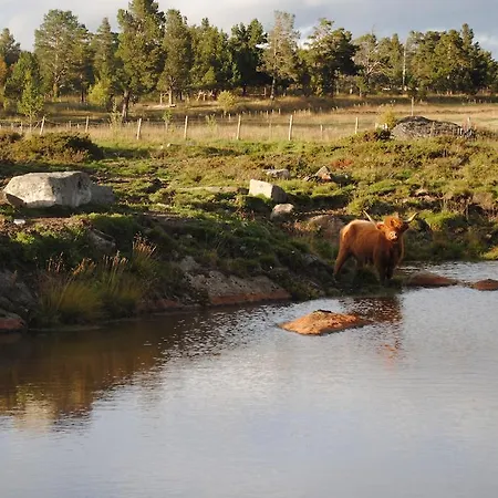 Lusaeter Timber 2* Heidal