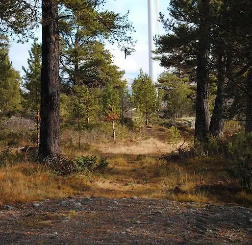 Lusaeter Timber