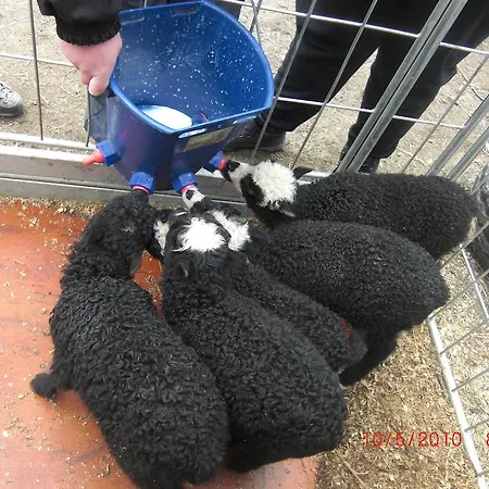 Lusaeter Timber Vendégház Heidal