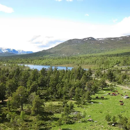 Vendégház Lusaeter Timber Heidal