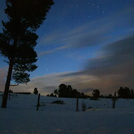 Vendégház Lusaeter Timber 2*