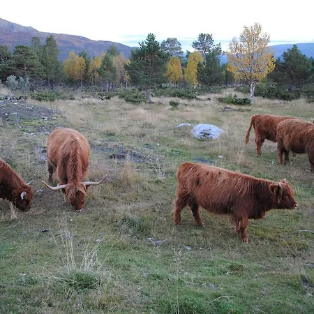 Lusaeter Timber Vendégház 2*